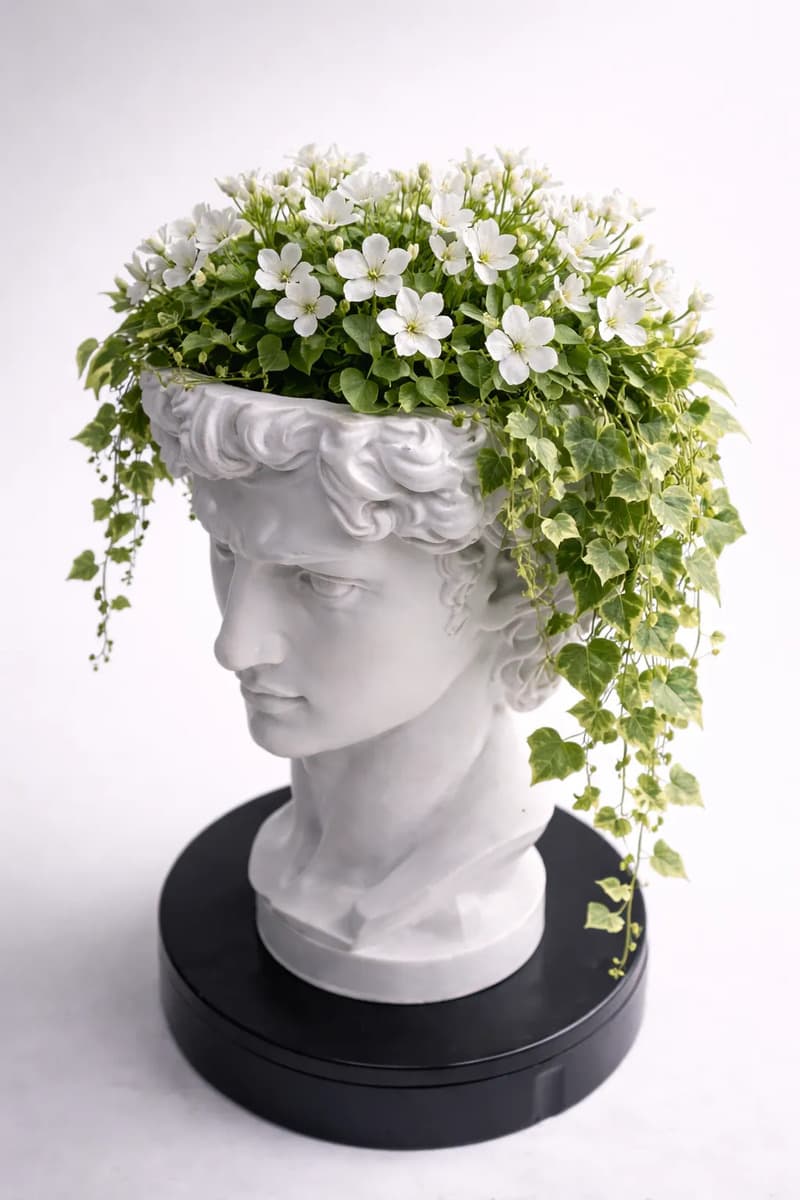 Vaso Decorativo Cabeça Davi Porta Planta Suculenta Escultura Branco